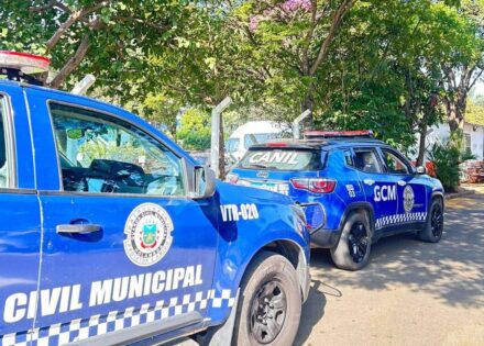 homem-e-preso-por-violencia-domestica-e-trafico-de-drogas-em-holambra-correio-nogueirense
