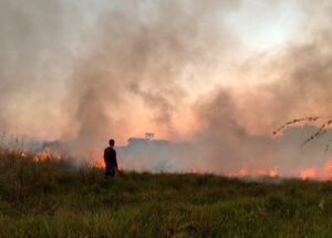 incendio-em-mato-de-grandes-proporcoes-atinge-area-proxima-a-residencias-em-cosmopolis-correio-nogueirense