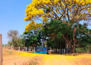 sitio-com-nascente-e-61-hectares-esta-a-venda-em-artur-nogueira-correio-nogueirense