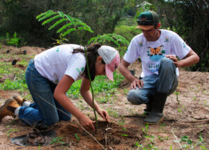 de-olho-nos-rios-promove-restauracao-florestal-em-area-de-mata-ciliar-de-artur-nogueira-correio-nogueirense