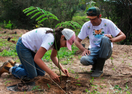 de-olho-nos-rios-promove-restauracao-florestal-em-area-de-mata-ciliar-de-artur-nogueira-correio-nogueirense