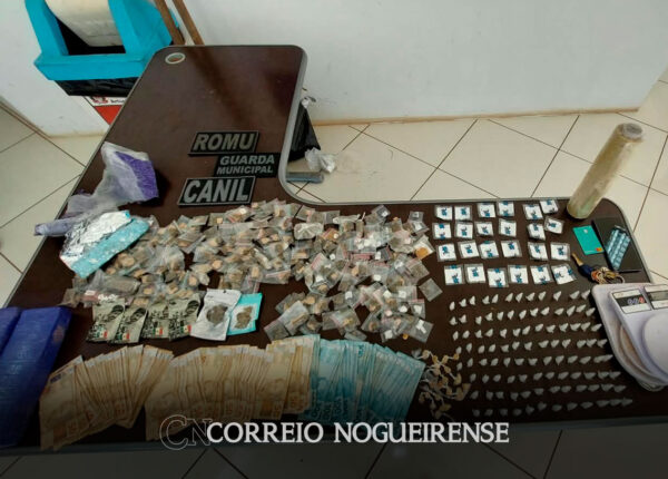 denuncia-leva-gcm-ate-area-de-mata-onde-grande-quantidade-de-drogas-estava-enterrada-em-artur-nogueira-correio-nogueirense