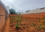 terreno-de-302-m-esta-a-venda-no-jardim-paineiras-em-artur-nogueira-correio-nogueirense