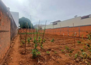terreno-de-302-m-esta-a-venda-no-jardim-paineiras-em-artur-nogueira-correio-nogueirense