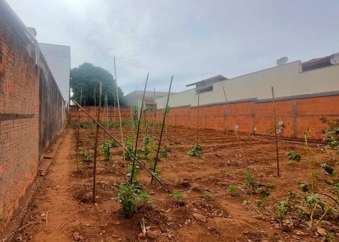 terreno-de-302-m-esta-a-venda-no-jardim-paineiras-em-artur-nogueira-correio-nogueirense