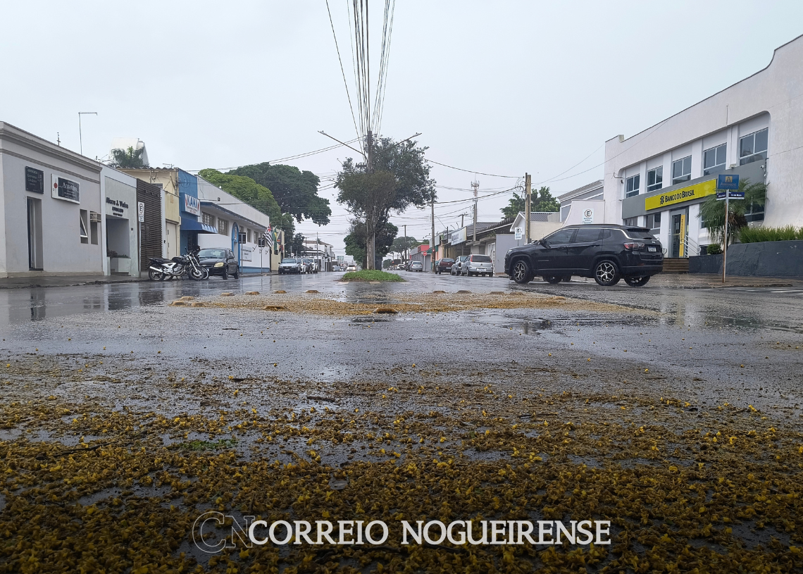 Design sem nome_20260911_093933_0000