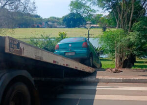 carro-invade-area-gramada-e-bate-contra-arvore-em-holambra-correio-nogueirense