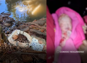 lar-arco-iris-alerta-sobre-pedidos-de-doacoes-em-nome-de-bebe-encontrado-em-corrego-correio-nogueirense
