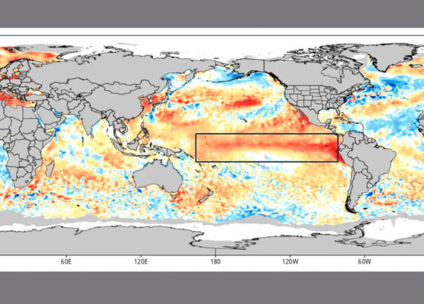 painel-indica-que-el-nino-pode-ser-um-dos-mais-intensos-desde-1950