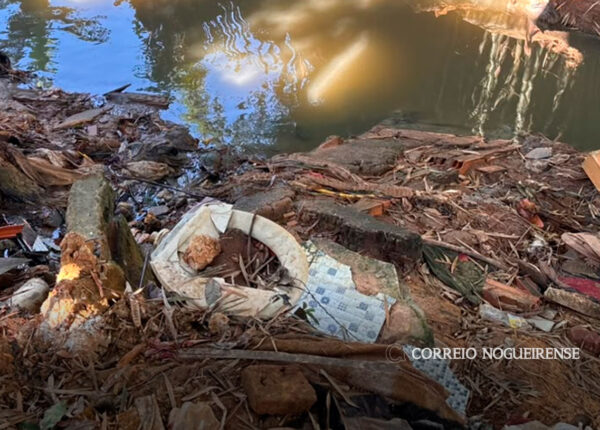 recem-nascido-e-encontrado-proximo-a-corrego-com-ferimento-profundo-no-peito-em-cosmopolis-correio-nogueirense-capa