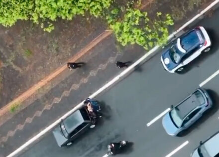 tres-mulheres-tentam-furtar-comercio-em-holambra-e-sao-presas-apos-fuga-correio-nogueirense